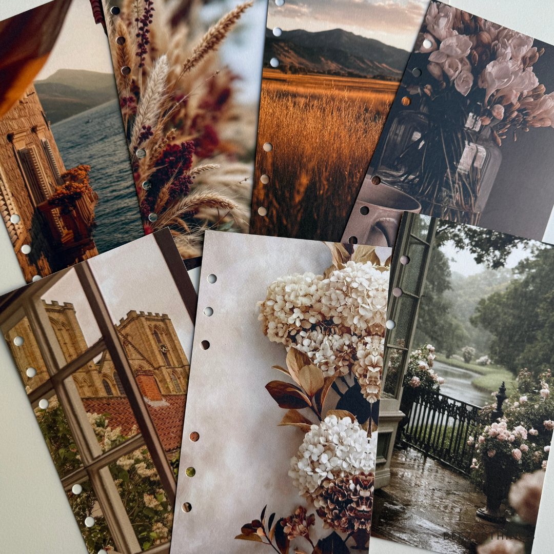 3rd Anniversary Dashboard Collection | A6 Budget Binder Dashboard | Professionally Printed Cash Stuffing Dashboard