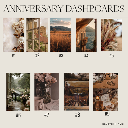 3rd Anniversary Dashboard Collection | A6 Budget Binder Dashboard | Professionally Printed Cash Stuffing Dashboard