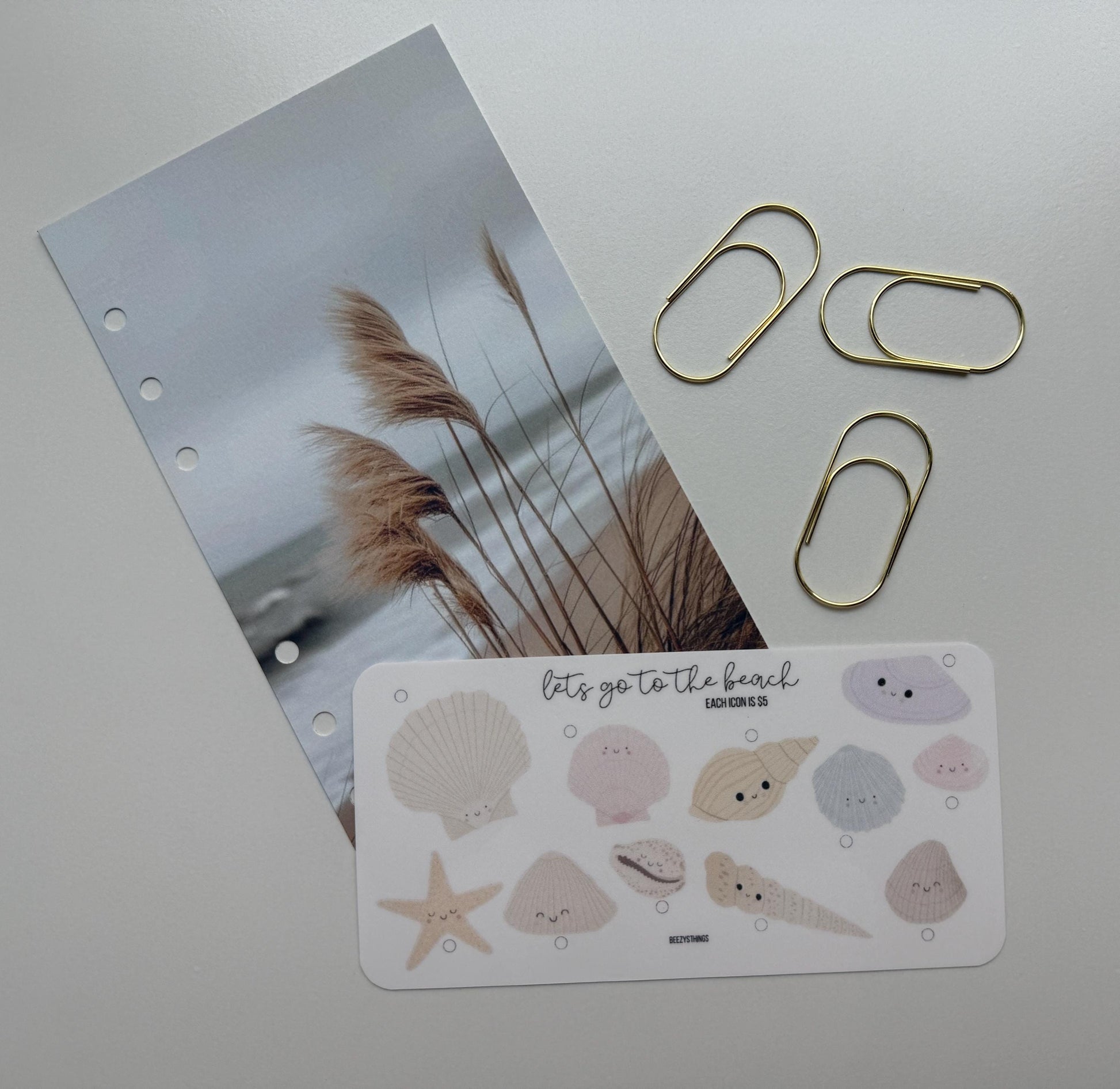 For the Girlies Savings Challenges Vol 2. - Matte Vellum or Glossy Card Stock