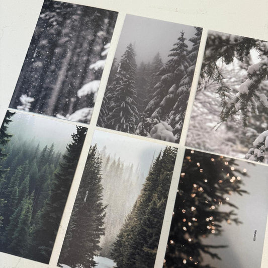 Winter Dashboards - Personal Size