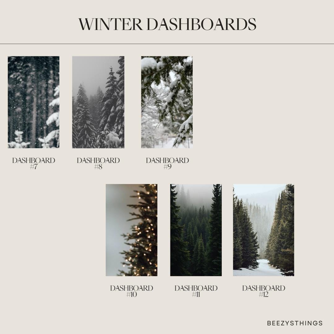 Winter Dashboards - Personal Size